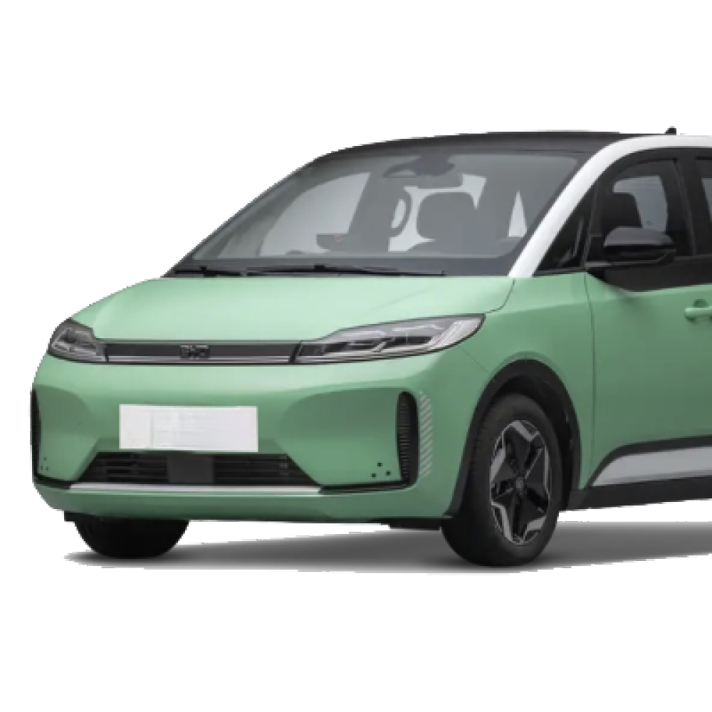 Byd D1 Pure Electric 2022 Official Standard 418KM MPV 5 Seats